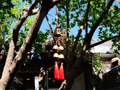 -VOYAGE COFFEE(杨梅竹店)