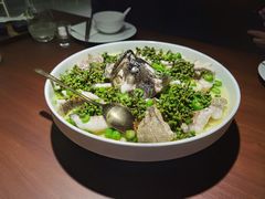 青青椒麻龙胆鱼-CHIC1699远洋私厨