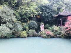 -杭州黄龙洞