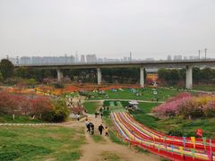 -秀丽东方
