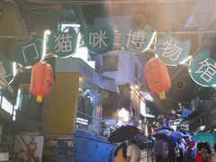 -猫咪博物馆(顶澳仔猫街店)