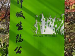 -西湖风景区-江洋畈生态公园