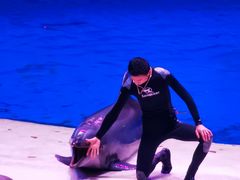 -华夏文旅海洋公园