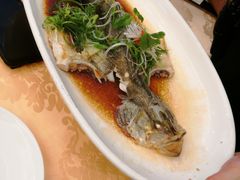 -山泉公馆酒家(珠江新城店)