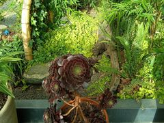 -山壹竹庭院餐厅