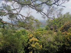 -海南文笔峰盘古文化旅游区