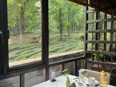 -野蔓果·山野菜(西湖景区·龙井茶田店)