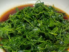 -月湖翠·上海菜(思南公馆淮海店)