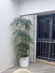 点击看大图 -HEYAN荷妍专业脱毛连锁机构