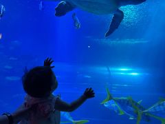 -太平洋海底世界