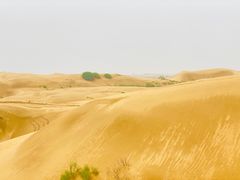 -银肯塔拉沙漠生态旅游景区