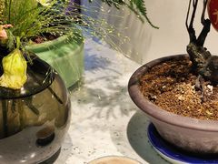 -九秋茶铺(三里屯店)