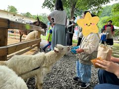 -HERRE·FARM 赫尔露营农场·团建聚会包场