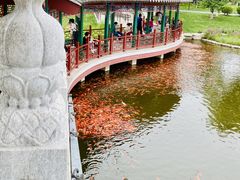 -西海子公园