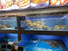 水产区-徐记海鲜(大雁塔|金都店)