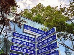 -钱江新城灯光秀