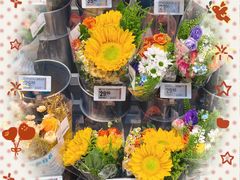 -砂之船奥特莱斯(合肥店)