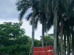 -南宁花花大世界景区