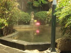 -西安国际创新人才交流中心•药浴温泉