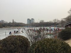 景点-紫竹院公园冰场
