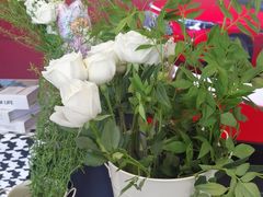 -天津波士信达奔驰4S店(卫津南路店)