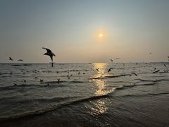 -老虎石海上公园