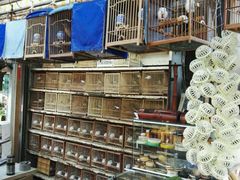 -万商花鸟市场