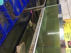 -QQ海鲜餐厅