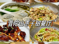 -枣子树·素食餐厅(朱家尖店)