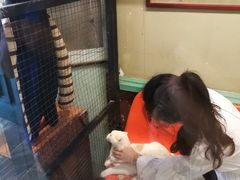 -猫咪博物馆(顶澳仔猫街店)