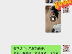 -多乐狗狗宠物训练工作室
