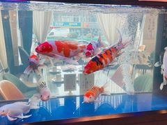 -老虎滩船说·大连海鲜(老虎滩店)