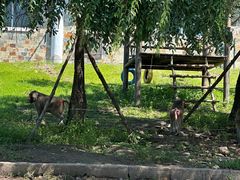 -哈尔滨北方森林动物园