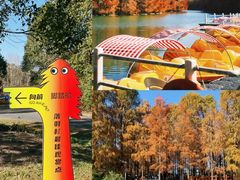 -上海海湾国家森林公园