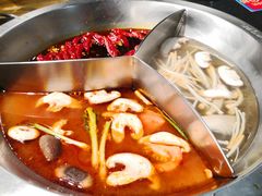 -大龙燚火锅(春熙店)