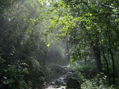 -南岳衡山风景名胜区