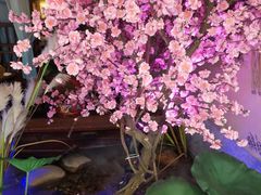 -韵秋荷(宝山龙湖天街店)