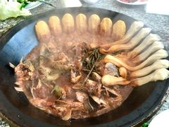 -夏家大锅台炖鱼馆