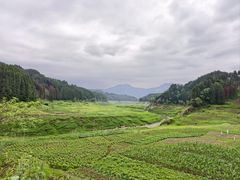 -学街秀兰麻辣烫