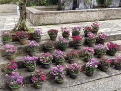 -东山雕花楼