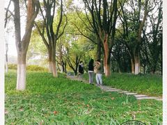 -范蠡湖公园