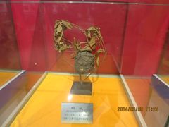 IMG_2855-上海昆虫博物馆