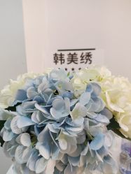 -韩美绣·骨相纹眉·洗眉美瞳线