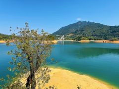 -广州市流溪河国家森林公园