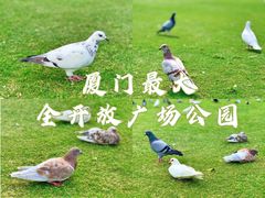 -白鹭洲公园