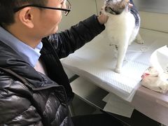 -北京观赏动物医院·24小时大型综合·猫专科·异宠专科