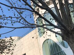 -北京康莱德酒店