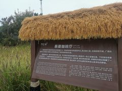 -悬崖咖啡厅