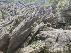 -梭布垭石林景区