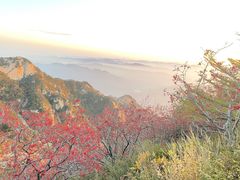-泰山风景名胜区